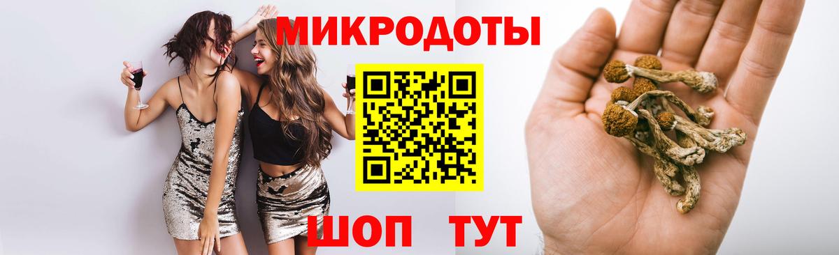 Псилоцибиновые грибы Cubensis  Вход с VPN  Ленинск-Кузнецкий 